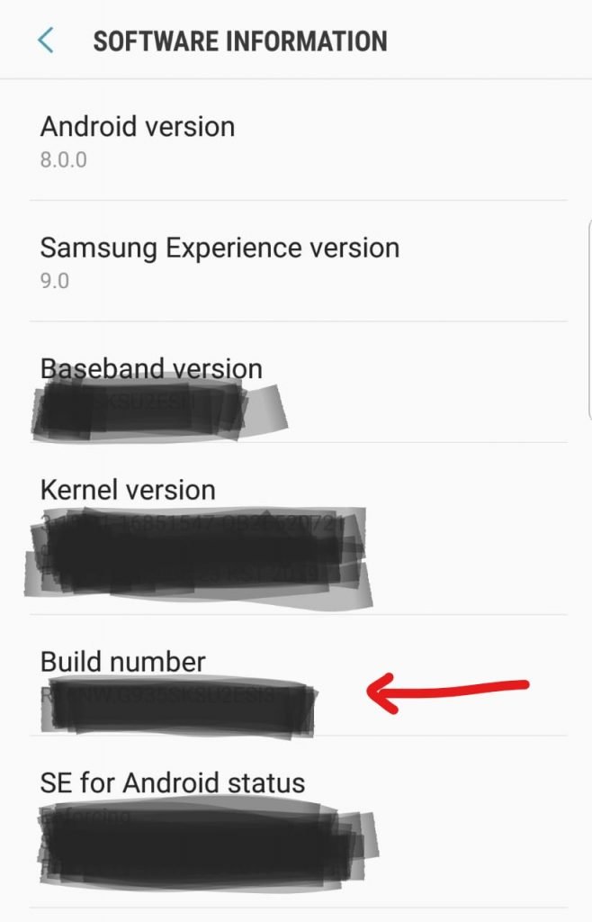 Enable-Developer-Option